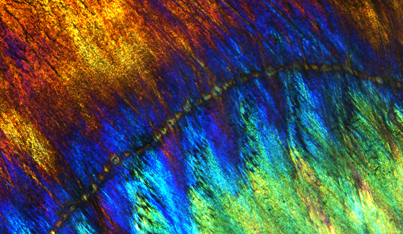 Circle Packing w/ Occo