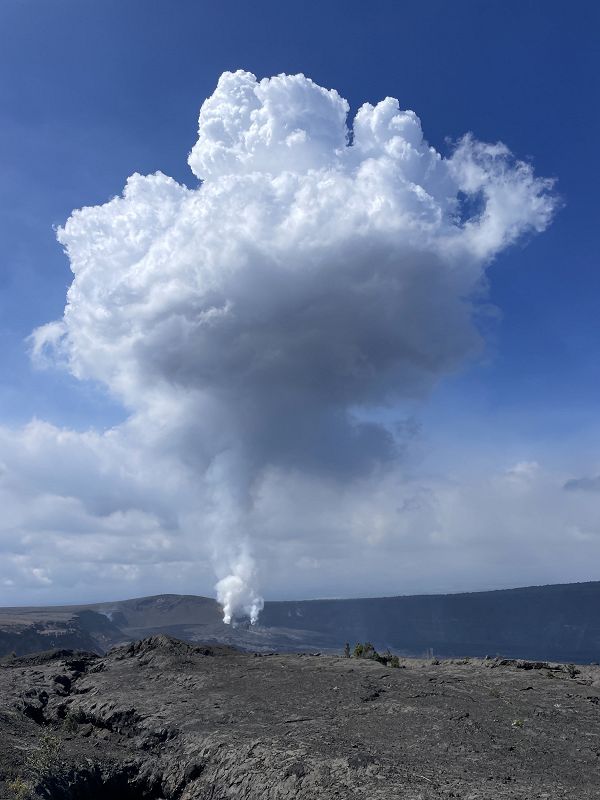 The Head Zone w/ Ripley Johnson