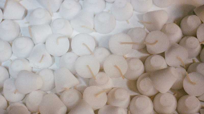 The Early Bird Show w/ PAM