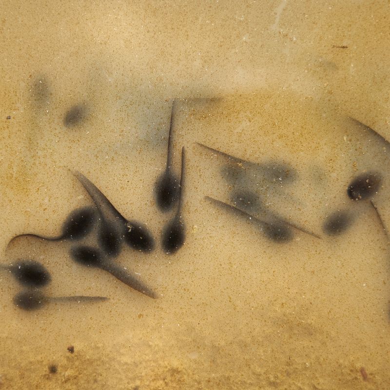 Wave Form w/ Aurélien Arbet & Pierre Rousseau