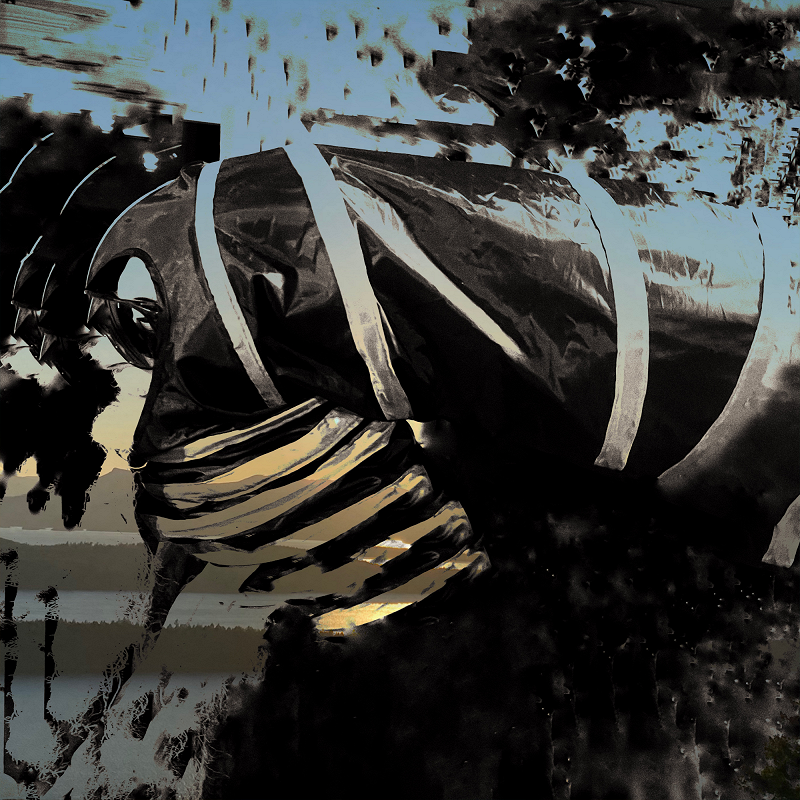 Pender Street Steppers w/ Wolfgang