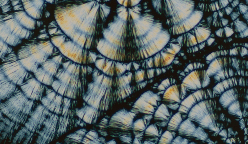 Circle Packing w/ Occo