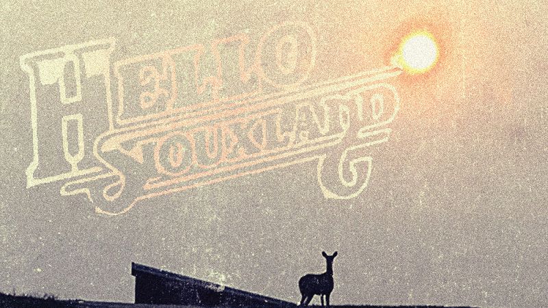 Hello Siouxland w/ Adviser on Shade Trees