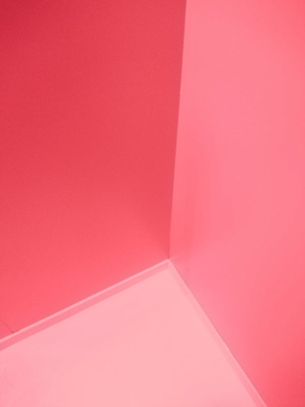 Prosumer
