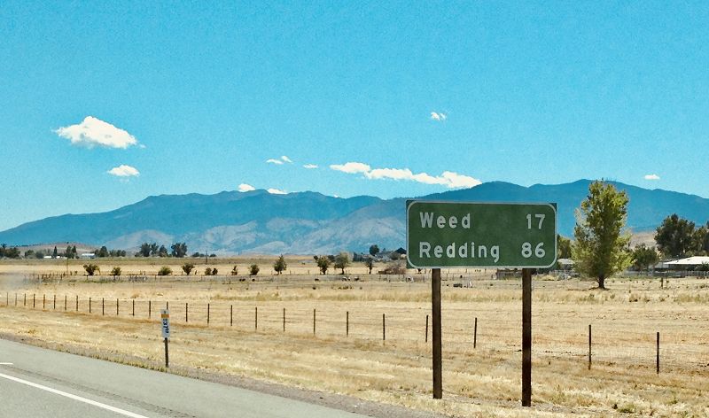 Whodis? w/ The Homie Tim, D.EQ: Happy 420