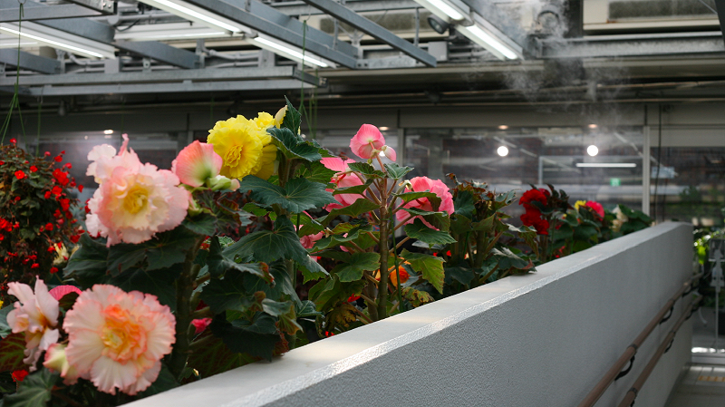 The Early Bird Show w/ PAM