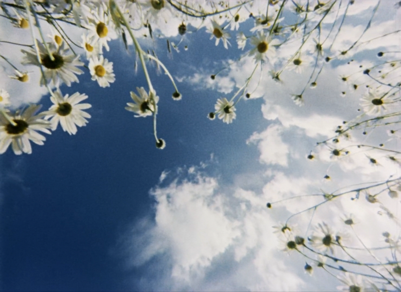 The Windmills of Your Mind w/ Taylor Rowley