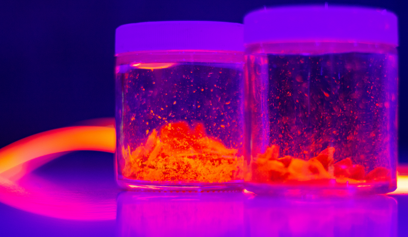 Circle Packing w/ Occo