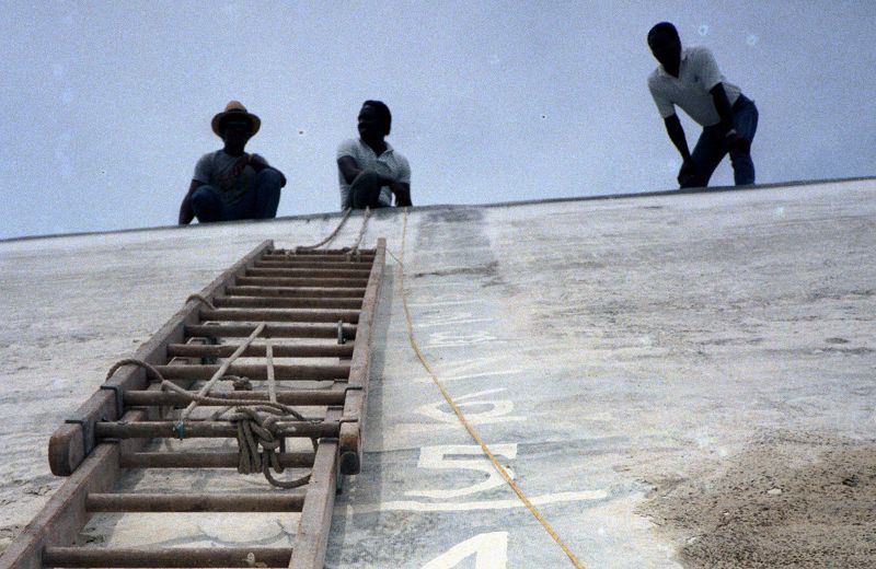 Tough Matter w/ Roots to Fruits