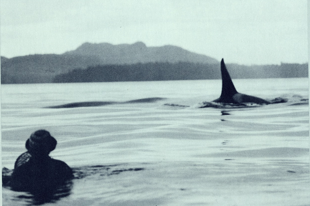 Smithsonian Folkways: Environmental Folk Songs and Nature Sounds