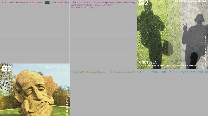 Tīrkultūra Unexpected Sources Audio Gallery for Onotesla