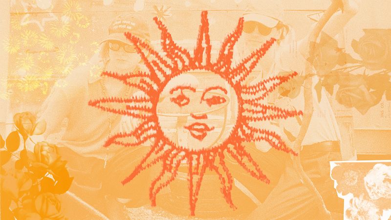 Down at the End of the Garden: Summertime in Aotearoa