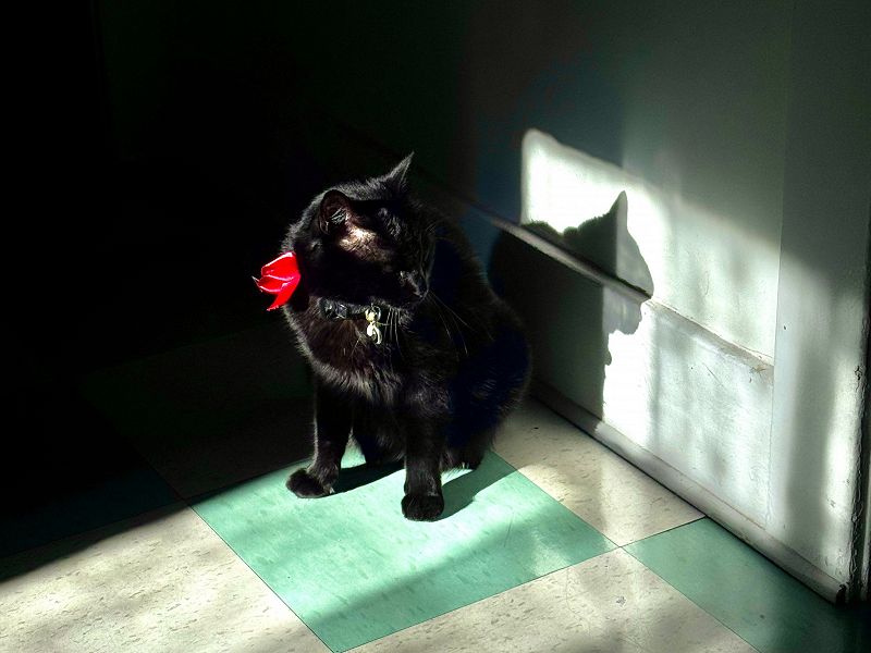 Sacred Space w/ Radha