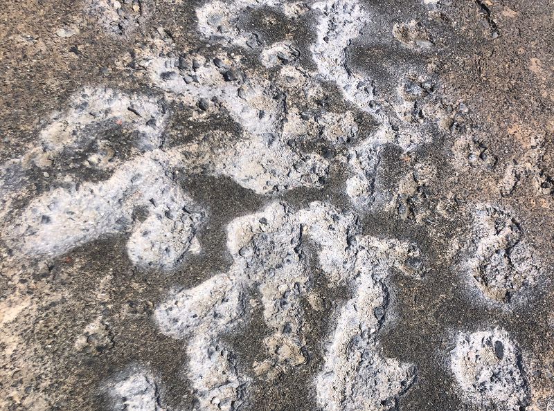 Pacing The Platform w/ upsammy