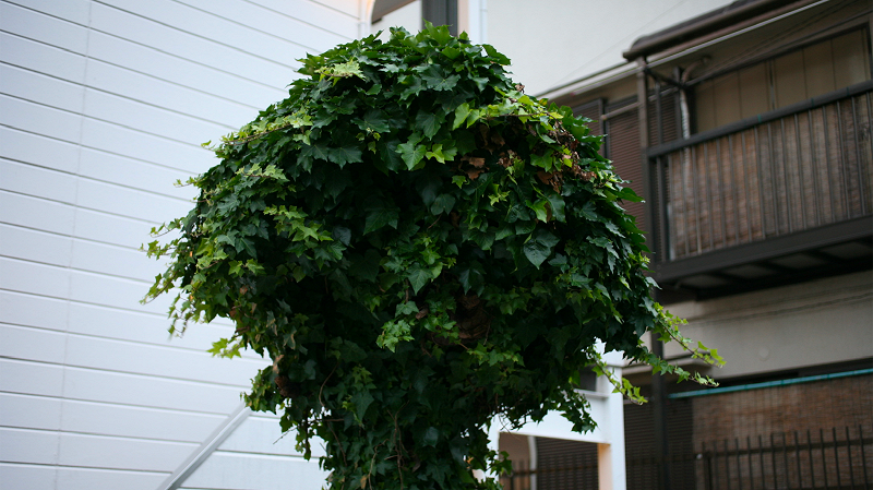 The Early Bird Show w/ PAM