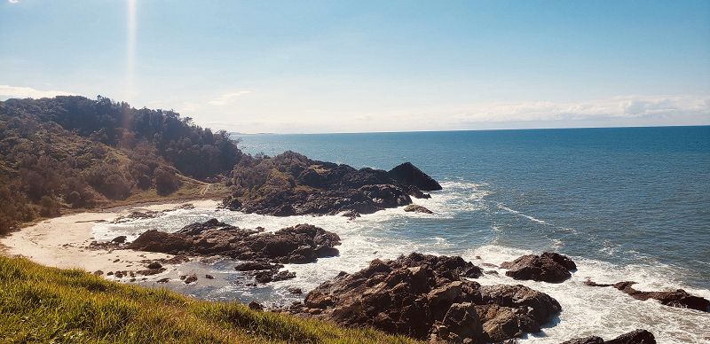 coexist bumper sticker