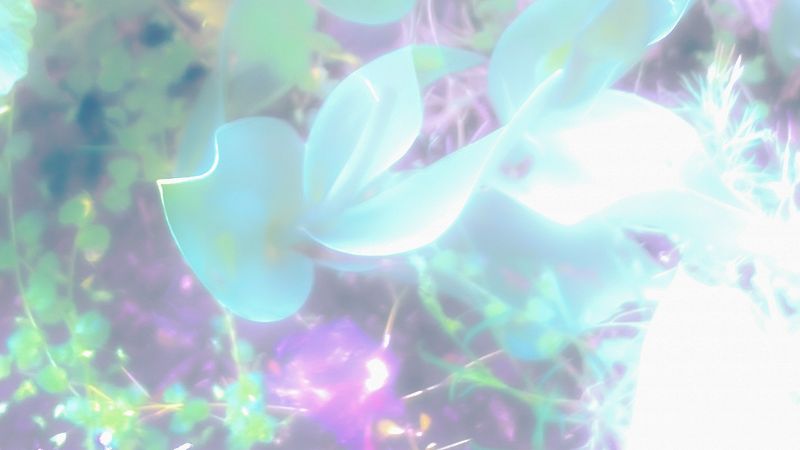 Soundscapes w/ lenalikes