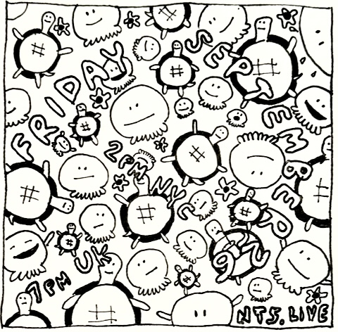 James McNew (YO LA TENGO)