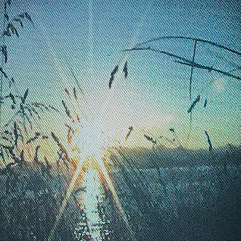 Pender Street Steppers