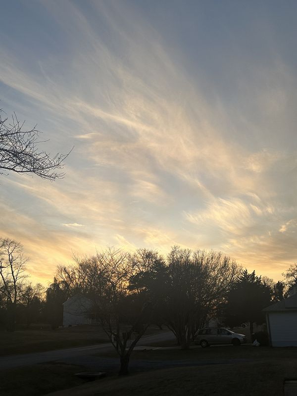 a place to rest your head w/ sbtravie