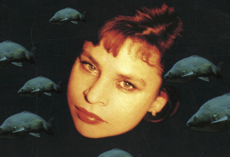 In Focus: Donna Regina