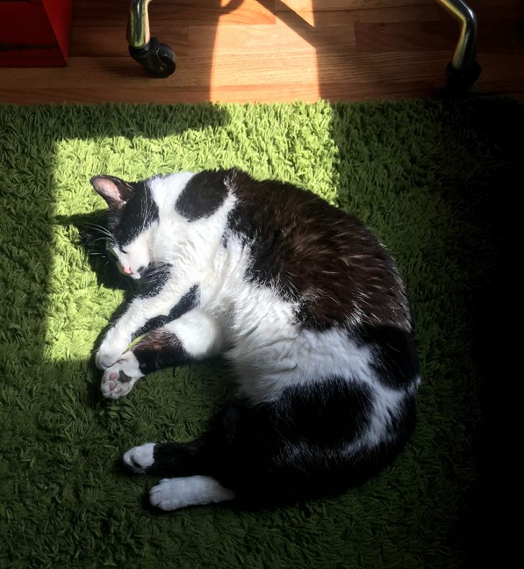 A Month of Sundays w/ Bill Spencer