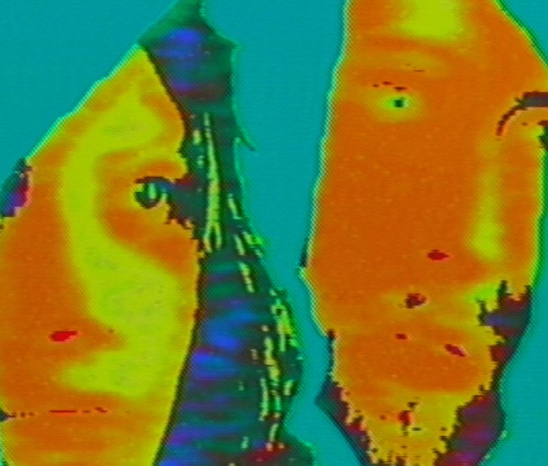 Pender Street Steppers w/ Mela Melania 