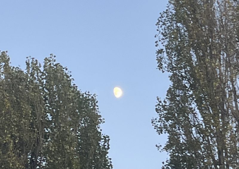 The Early Bird Show w/ Spirit Blue