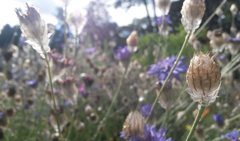 Phil's Jazz Dis-Junction