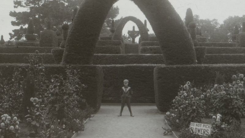 Don't Pick The Flowers w/ Chuck