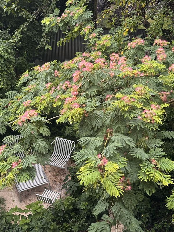 Tender Territory w/ Kath