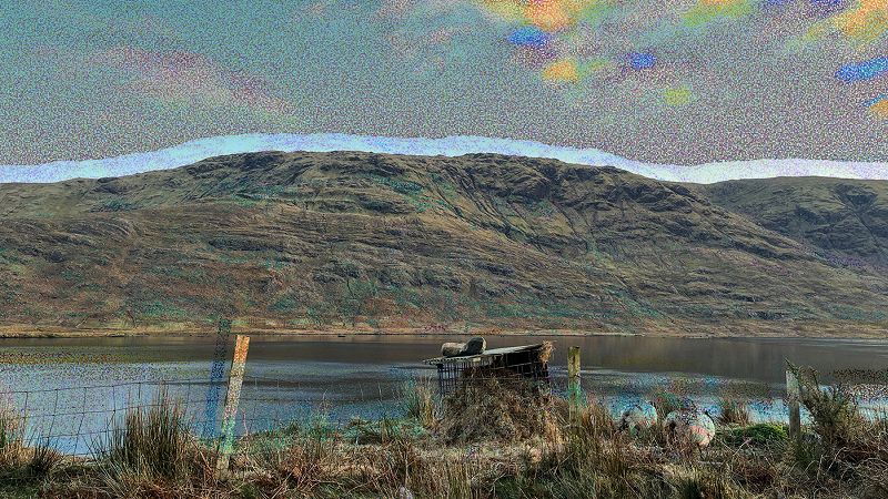 ROOTS OF RESILIENCE W/ CATHY GROGAN