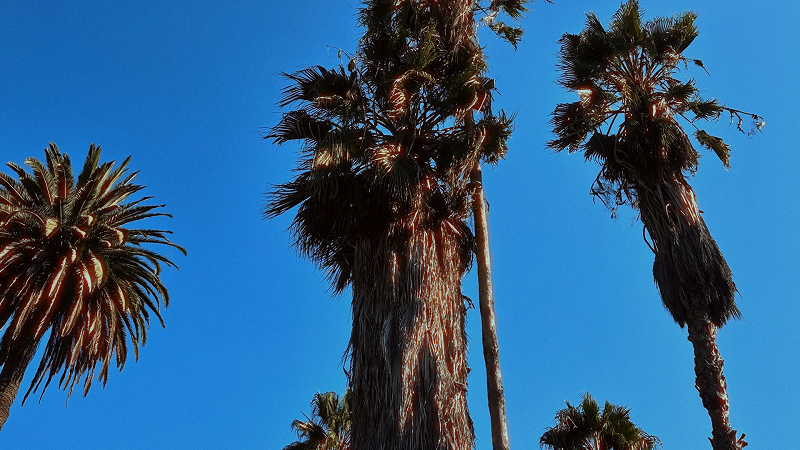Anz - a summer playlist vol. 1