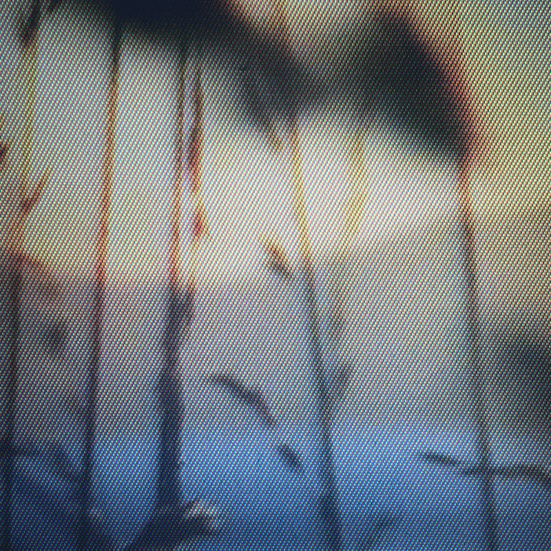 Pender Street Steppers