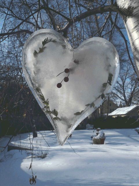 Liquid Mirror: I Found It in the Snow