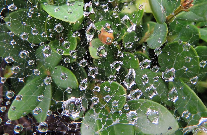 Live From Shanghai - RVE & Darphy