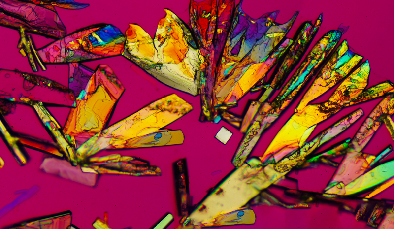 Circle Packing w/ Occo