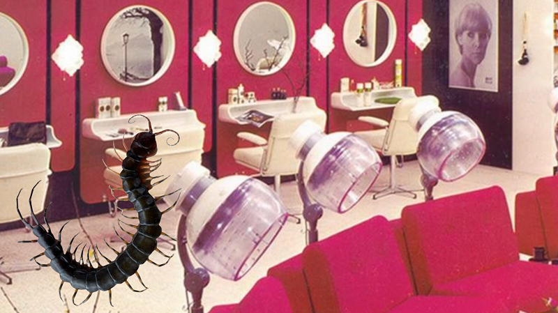 Electric Sweetie's Bug Salon w/ Holly Pilot