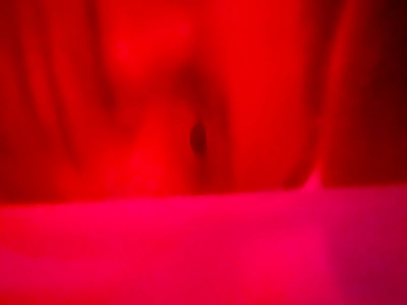 Live From Shanghai - China Social Club