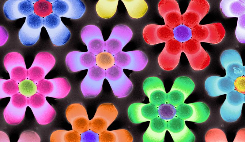 Circle Packing w/ Occo