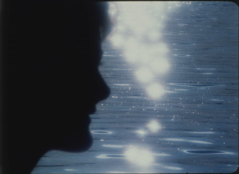 The Windmills of Your Mind w/ Taylor Rowley