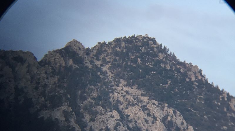 Chris Taylor (Grizzly Bear) - Cabin Fever 