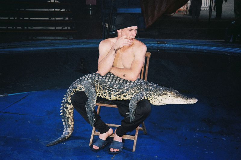 Elena Colombi & Hespermen (Private Persons) - Russian Special