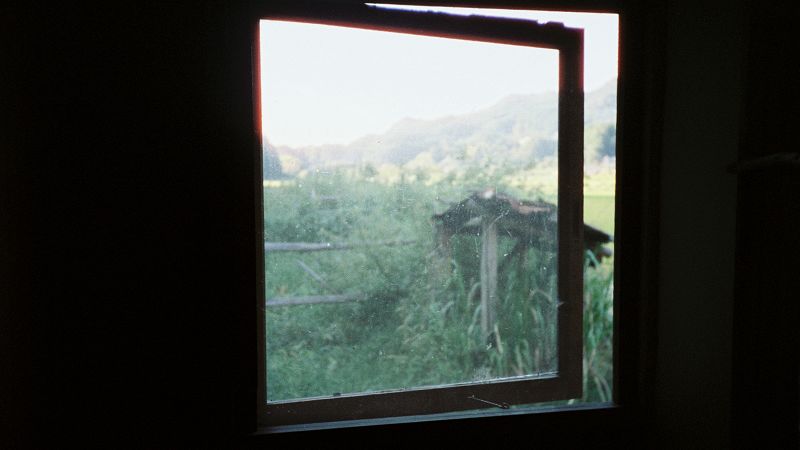 Sleepy Tea w/ Emma Diamond