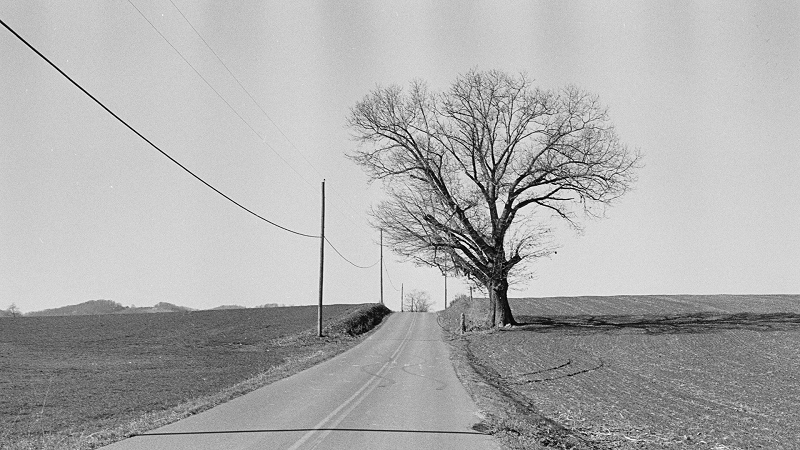 Appalachia Ambient w/ Matt Fox