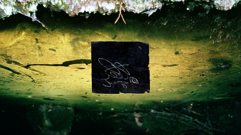 Sendspaace w/ Frog of Earth