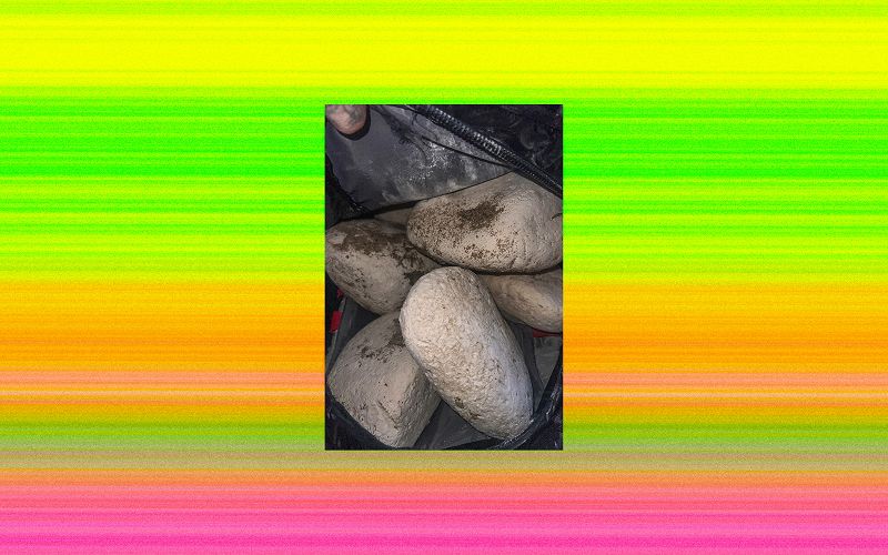 PARIDE MARIA CALVIA - VANILLAJELLABA