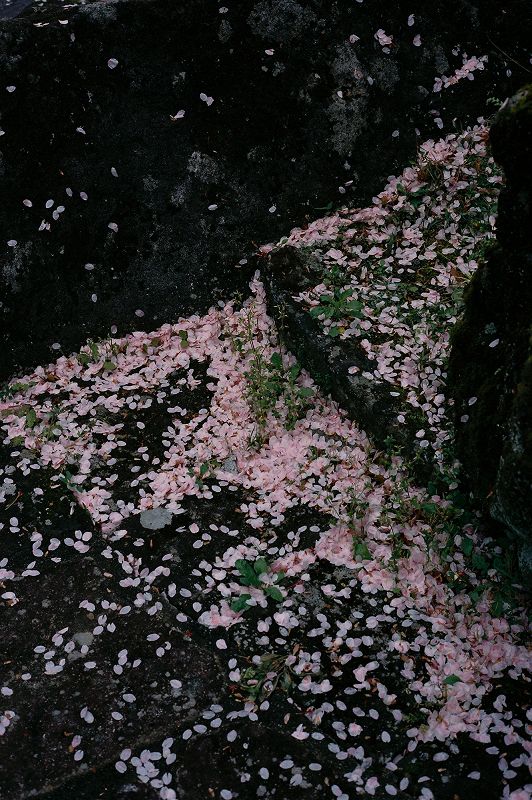 A Colourful Storm - Dream Of The Other