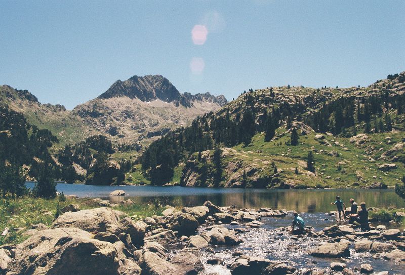 Peace Portal w/ Max Harper