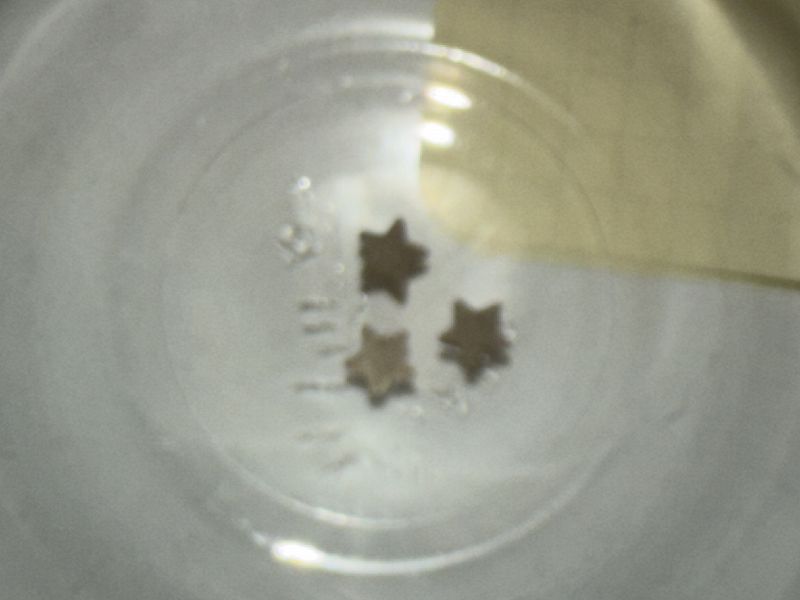 3XL w/ Special Guest DJ